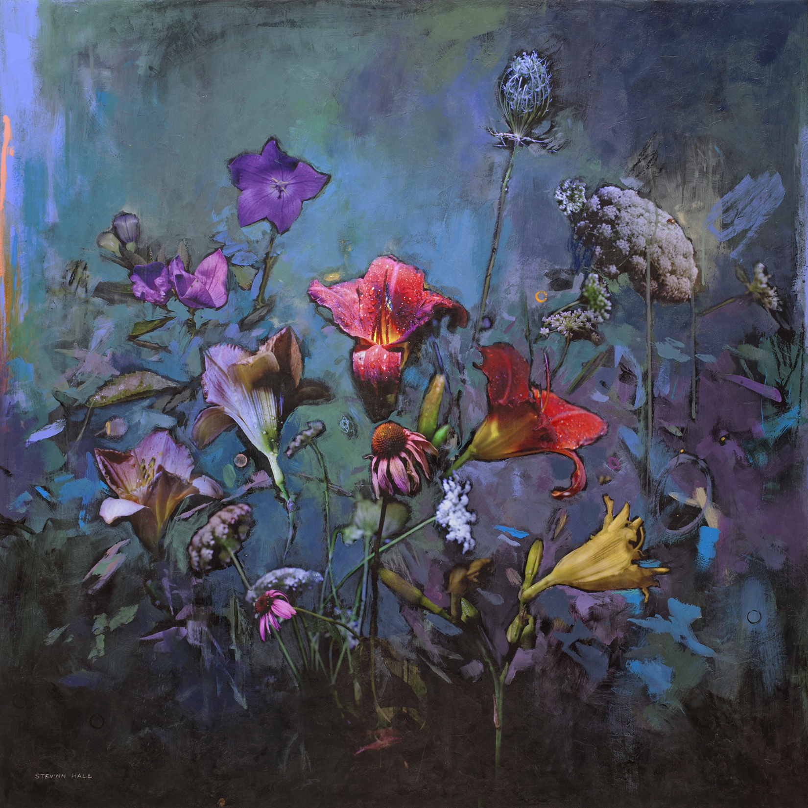 STEV'NN HALL