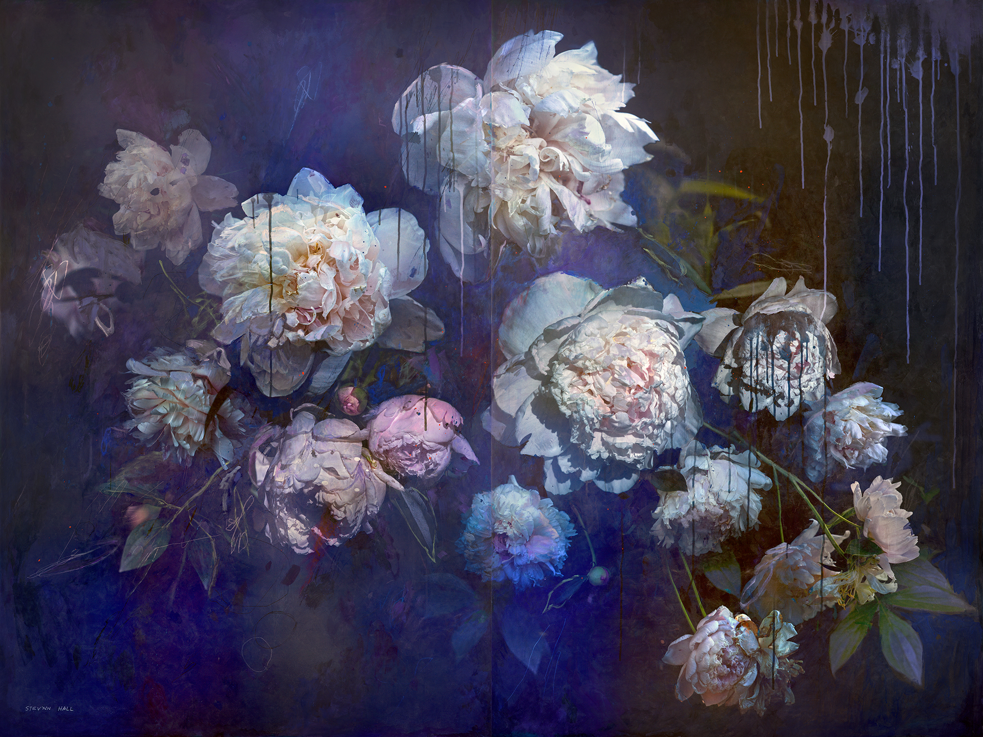 STEV'NN HALL