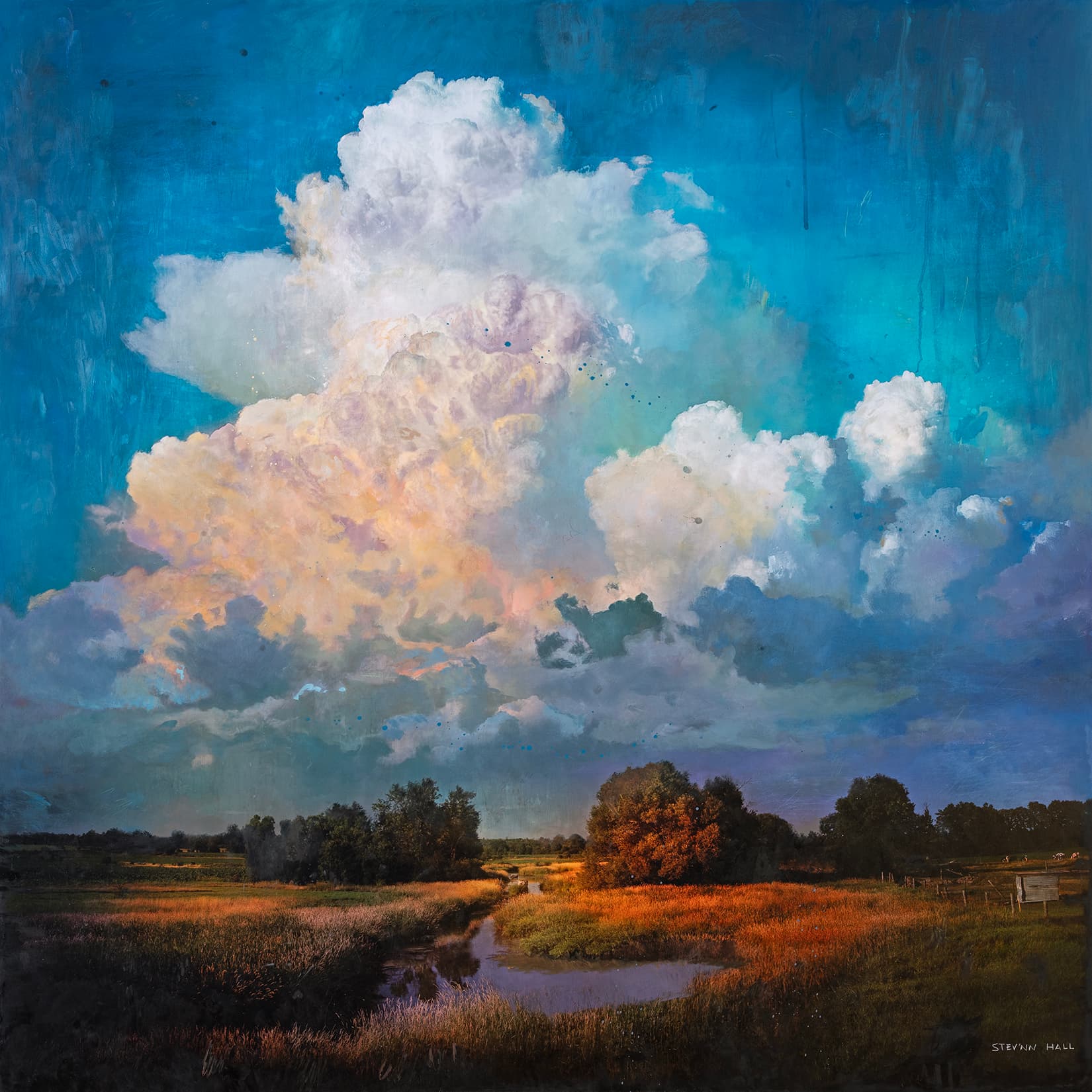 STEV'NN HALL