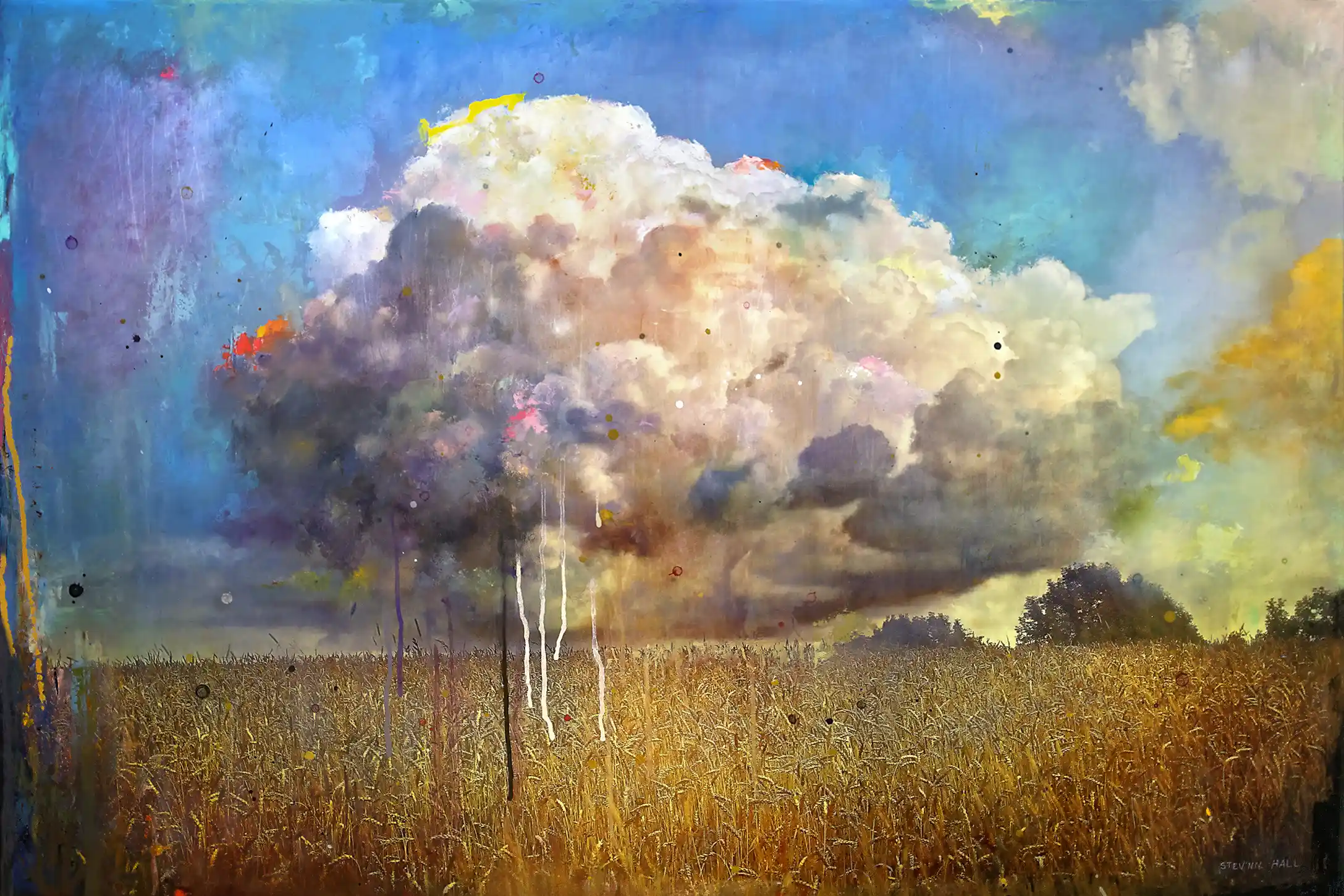 STEV'NN HALL